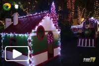 Natal da Madeira Iluminação de 2017