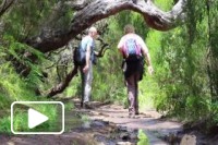 Levada 25 Fontes na Ilha da Madeira