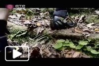 Canyoning na Ilha da Madeira