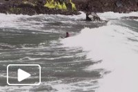 Madeira Bodyboard Fest