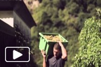 A historia dos vinhos Justinos