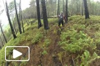 Downhill Pista em Prazeres - Madeira