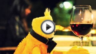 One day in the life of Mr. Oizo