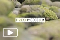 Freshmood 3.0
