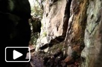 Caminhando numa Levada na Ilha da Madeira