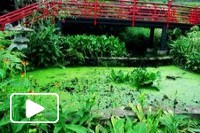 Madeira: Monte Garden