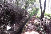 PR7 - Levada do Moinho