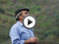 Passeio pela Natureza