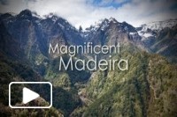 Magnifica Madeira