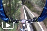 Levada dos Prazeres 2014