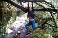 Happy Madeira
