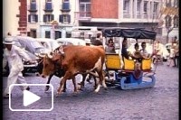 Madeira em 1967