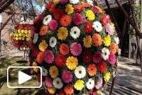 Tapetes e arranjos florais 2014