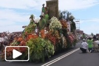 Cortejo da Festa da Flor Funchal Madeira 2014
