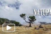 N A T U R A