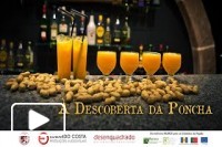 À Descoberta da Poncha