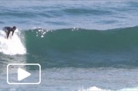Surf na Madeira