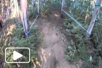 Campeonato Regional Downhill Madeira