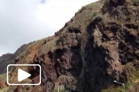 Turismo de parapente Madeira