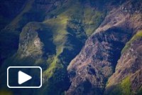 Madeira em suspensão