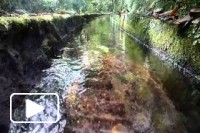 Caldeirão do Inferno