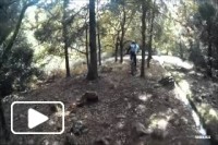 Madeira Island Downhill 2014