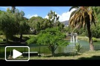 Visite a Madeira
