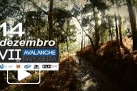 SPOT AVALANCHE 2014