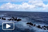 Visita à Madeira em Dezembro 2014