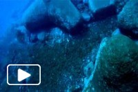Pesca Submarina na Madeira