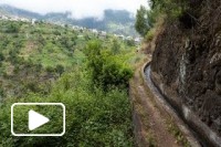 Levada do Castelejo | Madeira