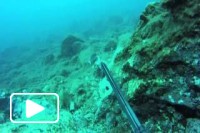 Caça Submarina nos Mares da Madeira