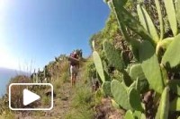 Madeira, a piece of cake