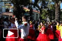 Festa da Flor 2012