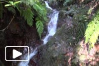 Lombo das Faias - Canyoning