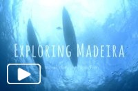 Madeira A Travel Story