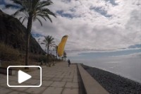 Obrigado Madeira pela Primavera