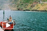 Madeira Islands mood
