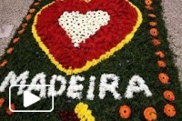 Tapetes de Flores Funchal 2015