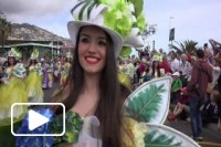 FESTA DA FLOR 2015 Madeira Island