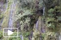 Formação de escalada na Madeira