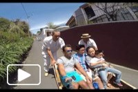 Toboggan Ride in Madeira