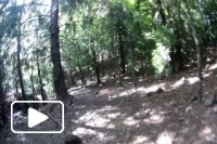 II Trail da Zona Militar da Madeira