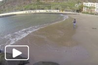 Madeira com amigos