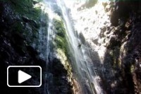 Cabres de Muntanya de visita à Madeira