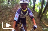 Green Line - Downhill Madeira Island
