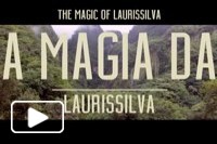 A magia da Laurissilva