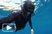 Freediving - Reserva Natural do Garajau