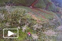 Voo de Parapente do Chão da Lagoa - Funchal