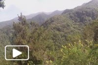 Madeira Maio 2015